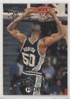 David Robinson [EX to NM]