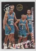 Charlotte Hornets Team [EX to NM]