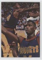 Antonio McDyess [EX to NM]