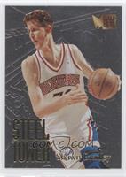 Shawn Bradley