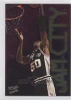 David Robinson