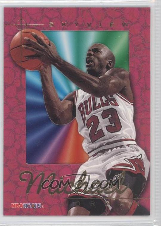1995-96 NBA Hoops - Skyview #SV1 - Michael Jordan