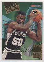 David Robinson