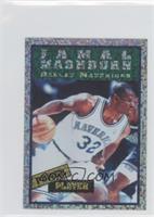 Jamal Mashburn