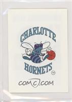 Charlotte Hornets Team