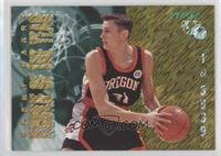 Brent Barry #/3,999