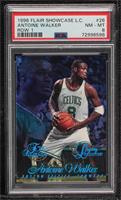 Antoine Walker [PSA 8 NM‑MT] #/150