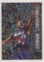 Damon Stoudamire