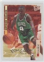 Encore Rookies - Antoine Walker