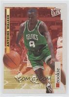 Encore Rookies - Antoine Walker