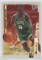 Encore Rookies - Antoine Walker