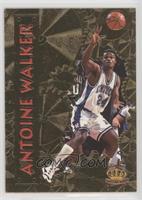 Antoine Walker