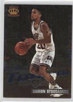 Damon Stoudamire