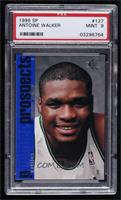 Antoine Walker [PSA 9 MINT]