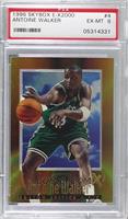 Antoine Walker [PSA 6 EX‑MT]