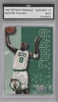 Antoine Walker [Encased]