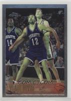 Vlade Divac