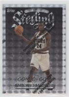 Uncommon - Silver - Antonio McDyess