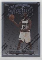 Uncommon - Silver - Antonio McDyess