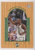 Hardwood Prospects - Antoine Walker