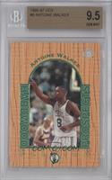 Hardwood Prospects - Antoine Walker [BGS 9.5 GEM MINT]