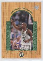 Hardwood Prospects - Antoine Walker