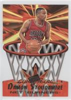 Damon Stoudamire