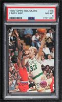 Larry Bird [PSA 8 NM‑MT]