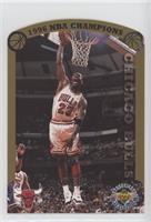 Michael Jordan (1996 NBA Champions) #/20,000