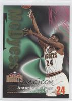 Antonio McDyess