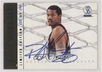 Rasheed Wallace [EX to NM] #/500