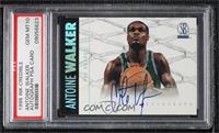 Antoine Walker [PSA 10 GEM MT]