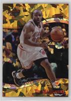 Tim Hardaway #/100