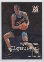 Zydrunas Ilgauskas