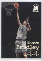 Shawn Bradley