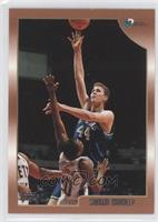 Shawn Bradley