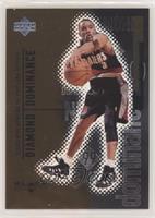 Damon Stoudamire #/1,000