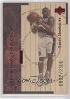 Damon Stoudamire, Michael Jordan #/2,300