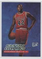 Elton Brand