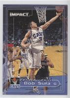 Bob Sura