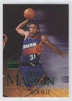 Shawn Marion (Action)