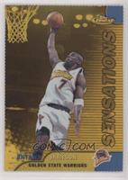 Antawn Jamison #/100