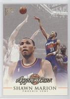 Apprentices - Shawn Marion