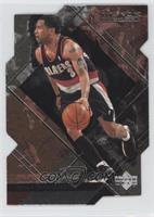 Damon Stoudamire