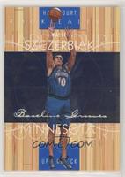 Wally Szczerbiak #/500