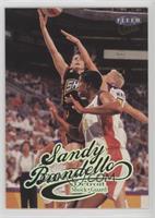 Sandy Brondello