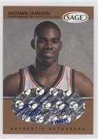 Antawn Jamison #/495