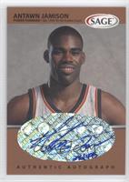 Antawn Jamison #/495