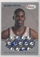 Antawn Jamison #/295