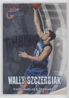 Wally Szczerbiak